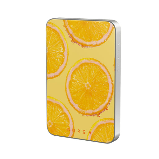 BP_02MS_MagPbank5K-SI