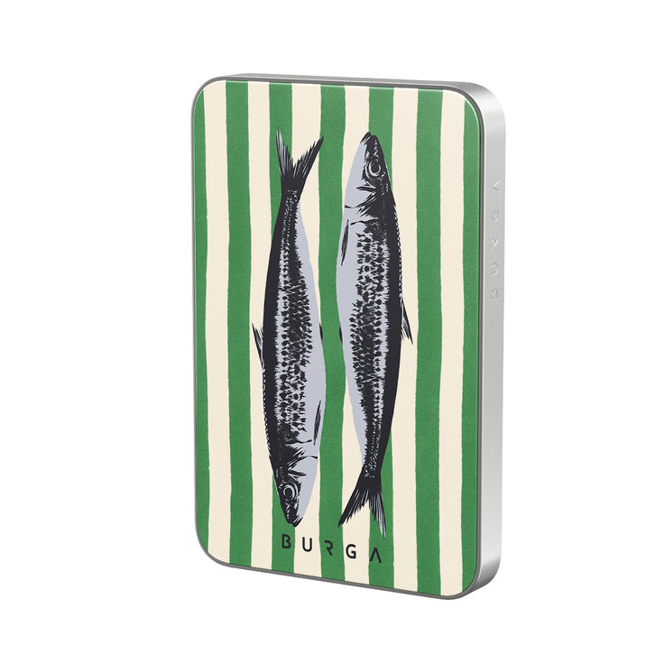 CM_07MS_MagPbank5K-SI