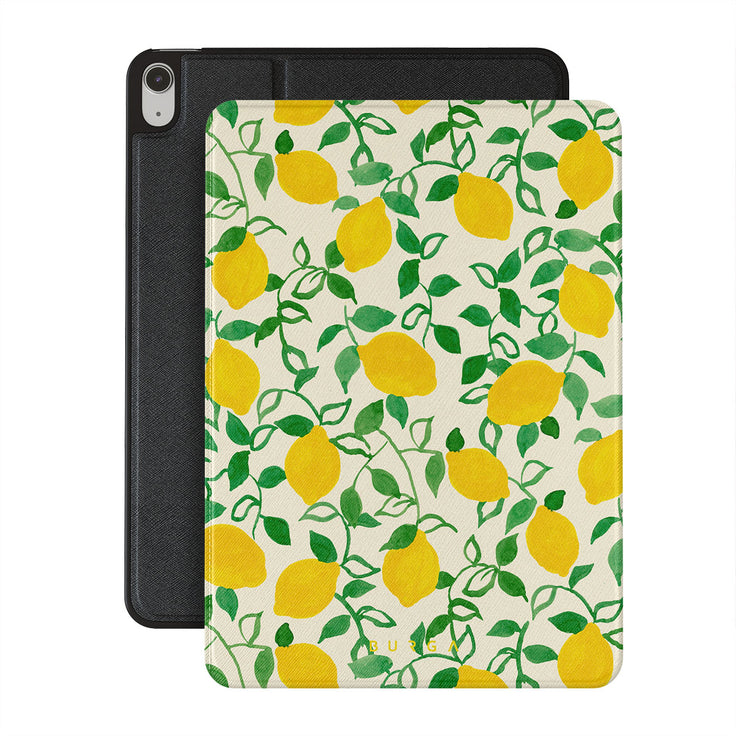 CM_15IP_iPAD_AIR_10.9