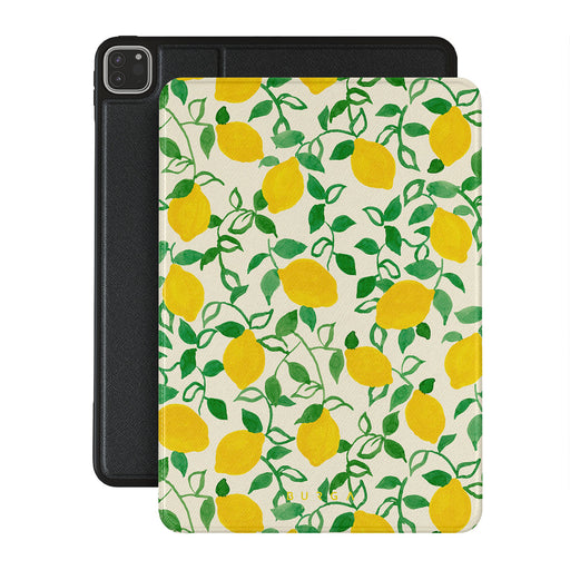 CM_15IP_iPAD_PRO_12.9_2022