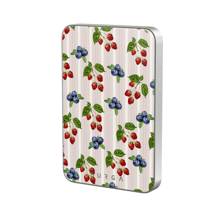 CP_10MS_MagPbank5K-SI