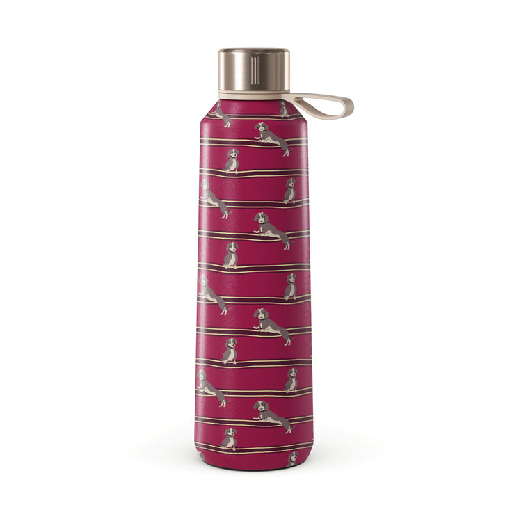 DO_05B5_W-BOTTLE_500-RG